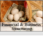 Financial & Business Structuring